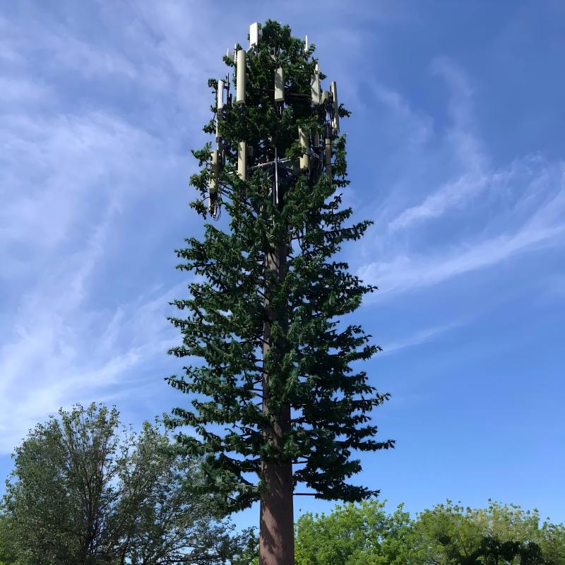 Bionic Pine Tree Camouflage Antenna Telecommunication Tower