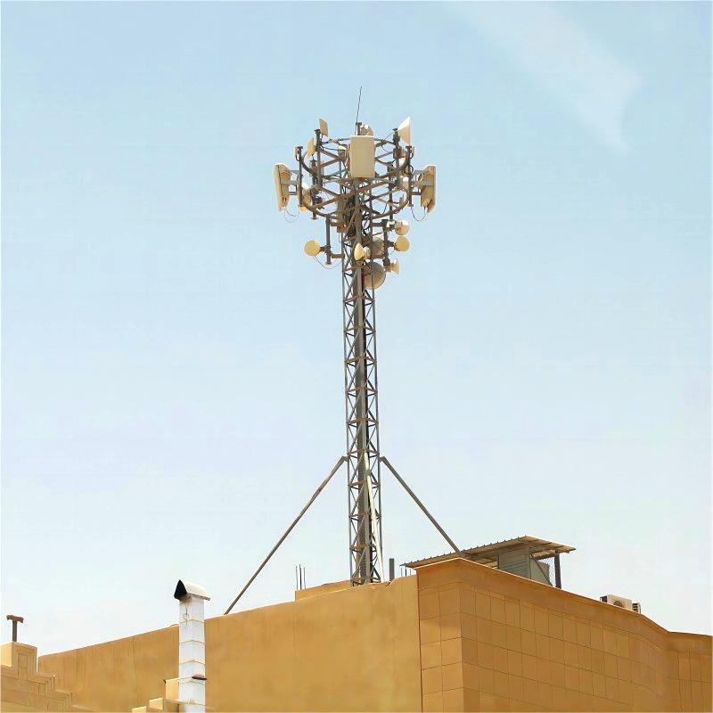 5m 7m 9m 10m Roof-top Antenna Telecommunication Tower
