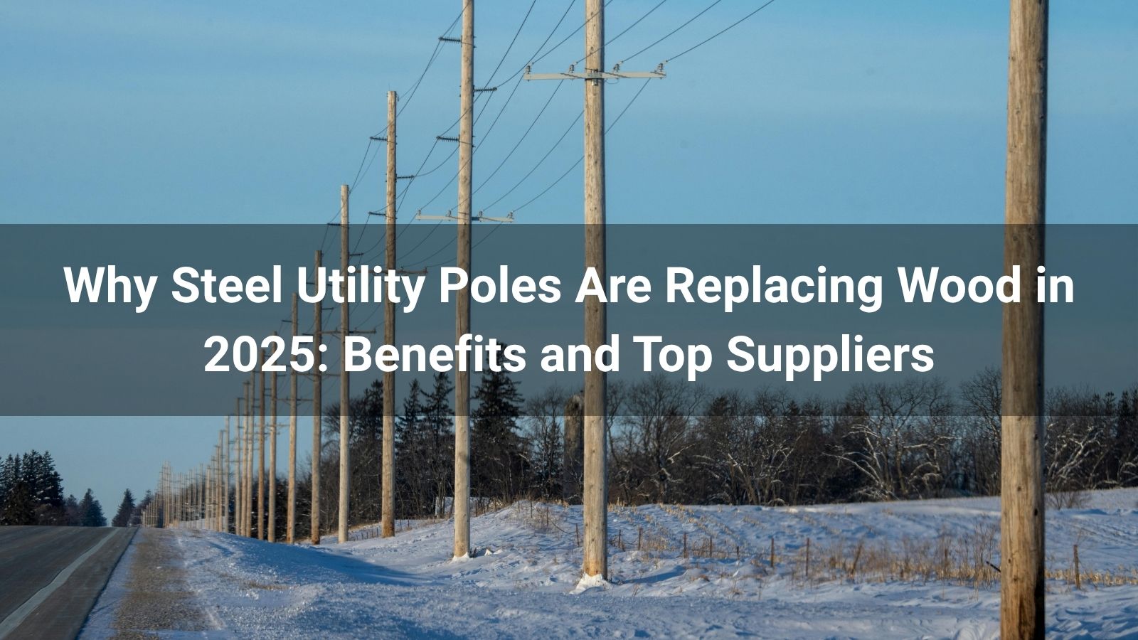 Why Steel Utility Poles Are Replacing Wood in 2025: Benefits and Top Suppliers