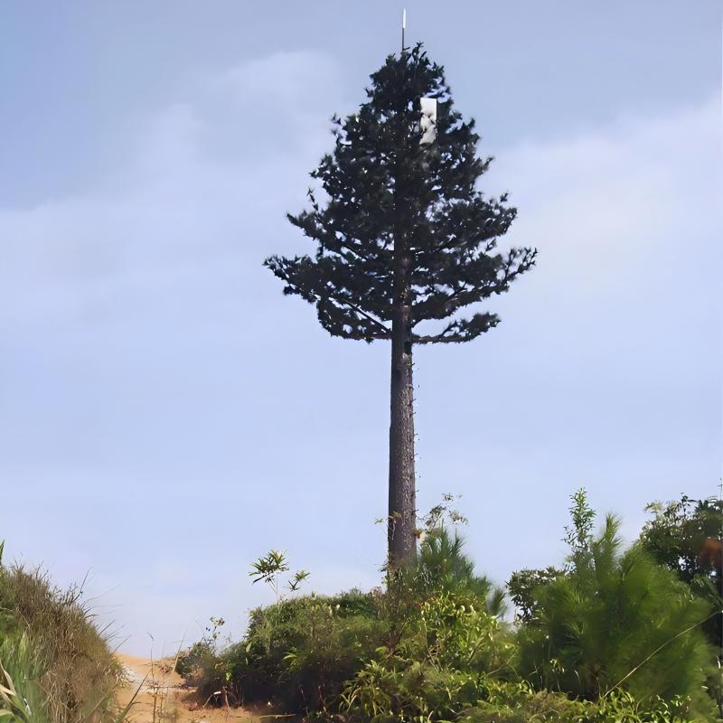 15-50M Camouflage Pine Tree Monopole Cell Tower