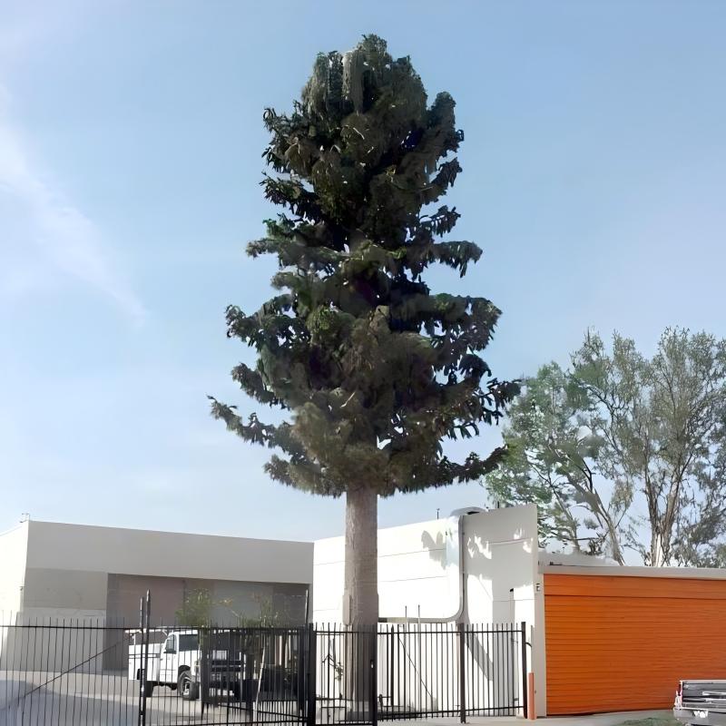 30 Meters 5G 4G Bionic Pine Tree Monopole Telecom Tower
