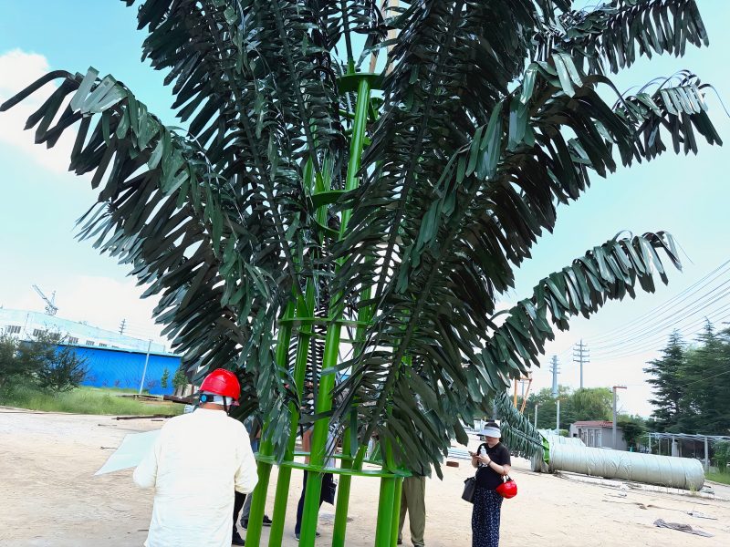 Customer Verification: 45M Palm Tree Solution for Mauritius Customer
